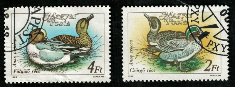 Birds, Hungary, (2743-T)