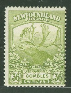 Newfoundland #126 Unused Single