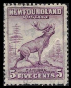 NEWFOUNDLAND VINTAGE 1941 5c #257 USED PERF 12½ CARIBOU