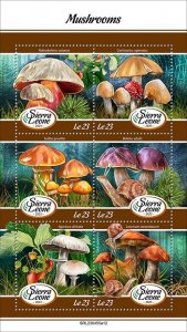 2024 03- SIERRA LEONE - MUSHROOMS         6V complet set    MNH ** T