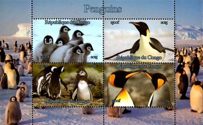 Congo 2015 Penguin Birds 4v Mint Souvenir Sheet S/S. (#11)