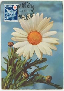 Maximum card Spain 1956 Flower - Tuberculosis - Bird