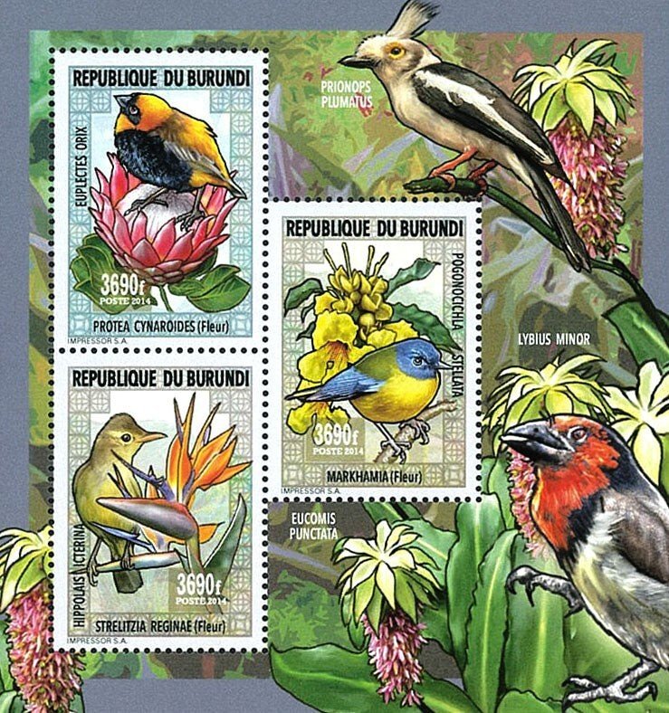 Fauna And Flora: Flowers And Birds - Imperf. - Complete-