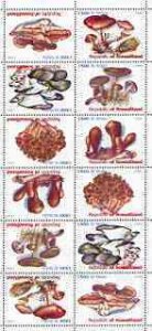 SOMALILAND - 1999 - Fungi - Perf 12v Sheet - M N H - Private Issue