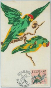 81401 -  ECUADOR  - Postal History -  MAXIMUM CARD -  BIRDS parrot  1958