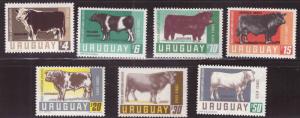 Uruguay Scott C290-C296 MH* 1966 Cattle set