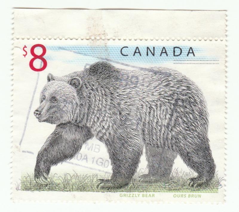 1694 Grizzly Bear