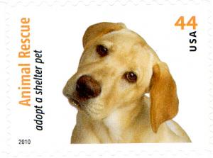 US 2010 Sc #4454 Yellow Lab - MNH**  single