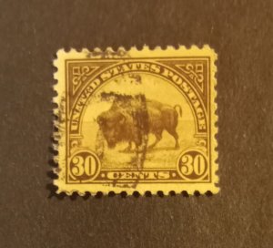 569 Bison used