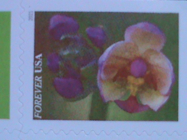 ​UNITED STATES- GARDEN BEAUTY-LOVELY FLOWERS-FOREVER MNH BOOKLET VERY FINE