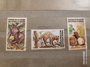 Cameroon	animals (F7)