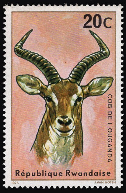 Rwanda 1975 Uganda Kob Antelope Animals 20c Scott.614 MNH