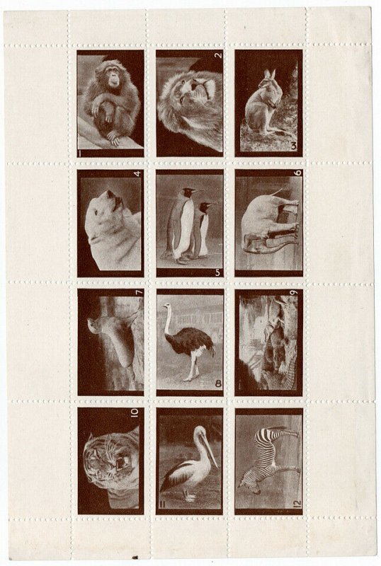 (I.B) Cinderella Collection : Zoological Society of Scotland (complete sheet)