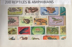 A Nice Selection Of 200 All Different Topicals. Reptiles & Amphibians. #02 TOP63