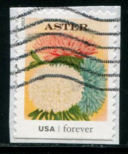 4762 US (46c) Vintage Seed Packets SA - Aster, used on paper