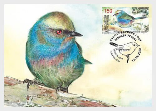 2020  KYRGYZSTAN  - WHITE BROWED TIT WARBLER ON MAXI CARD 