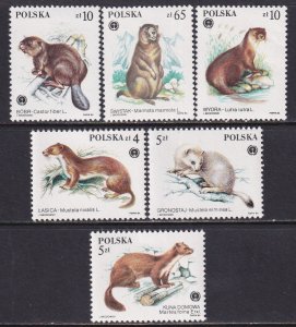 Poland 1984 Sc 2650-5 Protected Animals Stamp MNH