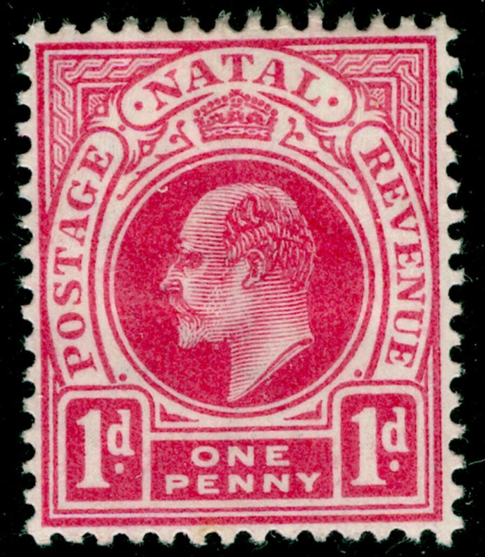 SOUTH AFRICA - Natal SG128, 1d carmine, M MINT. Cat £13.