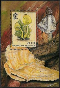 Burkina Faso #653 MNH S/Sheet - Mushrooms