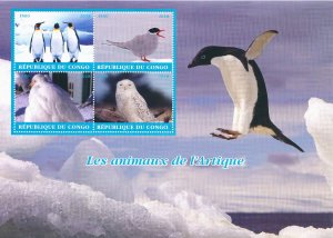 Birds on Stamps 2018 MNH Arctic Animals Penguins Owls Snowy Owl Terns 4v M/S