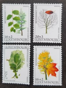 *FREE SHIP Luxembourg Indigenous Trees 1997 Leaf Plants Flora (stamp) MNH