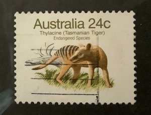 Australia 1981 Scott 788 used - 24c, Tamarian tiger