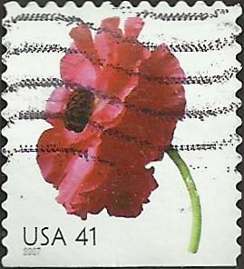 # 4183 USED POPPY