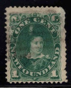 NEWFOUNDLAND Scott 44 Deep Green  Prince of Wales Used margin thin at top right