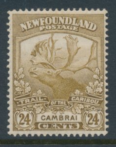NEWFOUNDLAND 1919 SG 140 Sc 125 24c Bistre-Brown Caribou Cambrai MH (*)