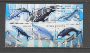 WHALES - MICRONESIA #416  S/S  MNH