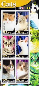 DOMESTIC CATS Sheetlet of 6 Perforated MNH Benin 2003