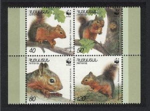 Armenia WWF Squirrel 4v Block of 4 2001 MNH SC#632 a-d SG#484-487 MI#435-438