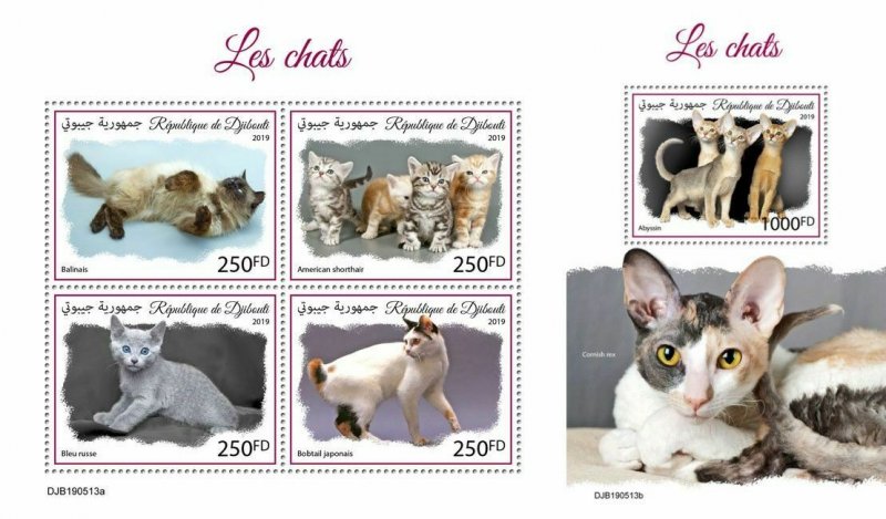 Z08 IMPERF DJB190513ab DJIBOUTI 2019 Cats MNH ** Postfrisch