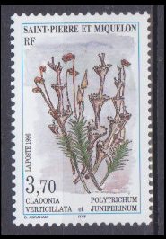 1996 St Pierre & Miquelon 705 Flowers