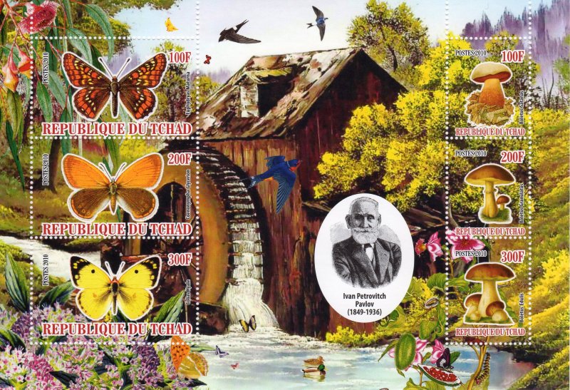 Chad 2010 Butterflies/Mushrooms/Birds 7 Souvenir Sheets Perforated MNH