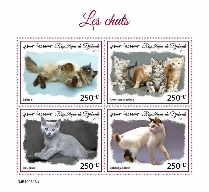 Z08 IMPERF DJB190513a DJIBOUTI 2019 Cats MNH ** Postfrisch