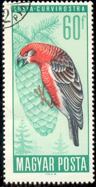 Bird, Red Crossbill & Pine Cone, Hungary stamp SC#1748 used