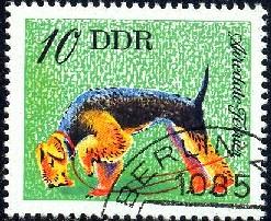 Dog, Airedale Terrier, DDR stamp SC#1750 used