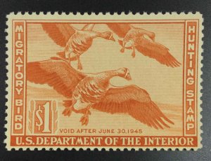 US STAMPS #RW11 DUCK MINT OG NH LOT #97384