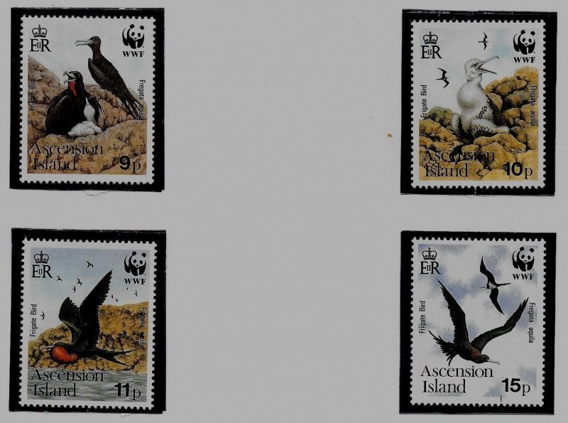 ASCENSION ISL SC 483-6 NH issue of 1990 - WWF - BIRDS