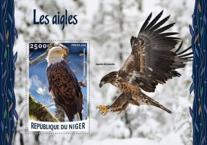 Birds of Prey Stamps Niger 2016 MNH Eagles Bald Eagle Raptors 1v S/S