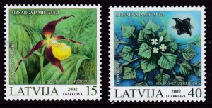 Latvia 2002 Endangered Plants (2)  VF/NH Scott 550-51