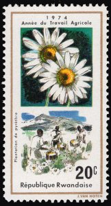 Rwanda 1975 Flowers, Pyrethrum Insect Powder 20c Scott.632 MNH