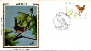 Ireland FDC 1979 - Wildlife Dreoilin - Baile Atha Cliath - F64373