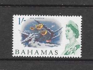 FISH - BAHAMAS #213 SEA GARDEN MNH