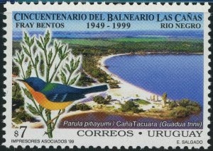 Uruguay #1784 Las Cañas Resort 7p Postage Stamp Latin America Birds 1999 Mint LH