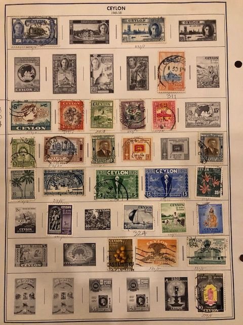 Ceylon See Scans