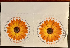 US # 5680 African Daisy Global pair 2022 Mint NH