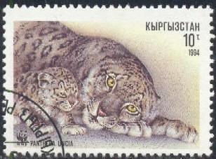 Snow Leopard, Panthera Uncia, Kyrgyzstan SC#29 used