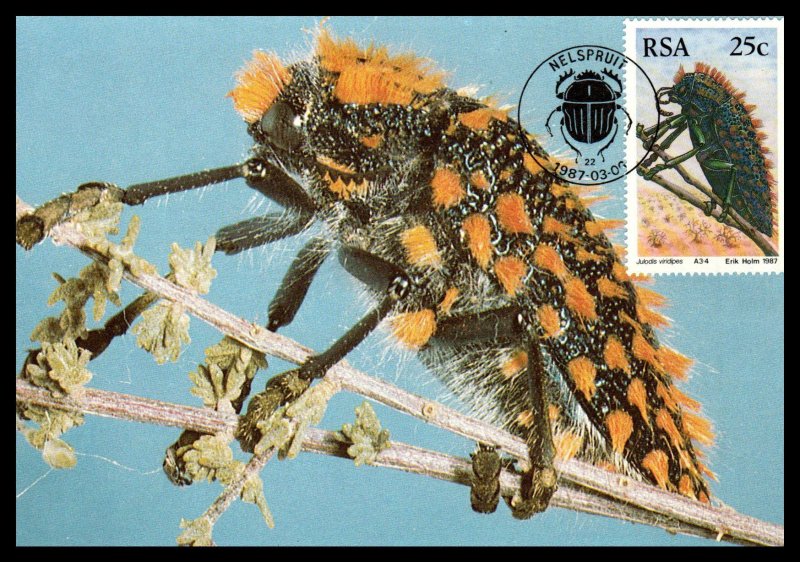 South Africa 690-693 Insects Set of Four Maxi Cards U/A FDC